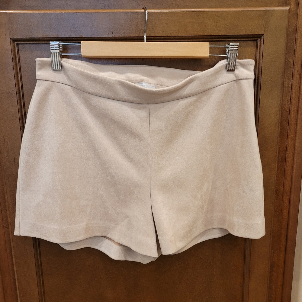 Zara Shorts